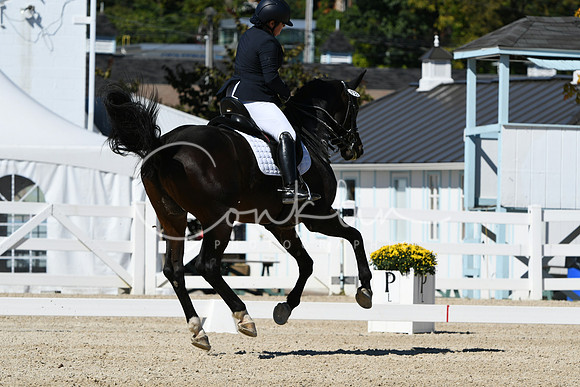 HSM_3199