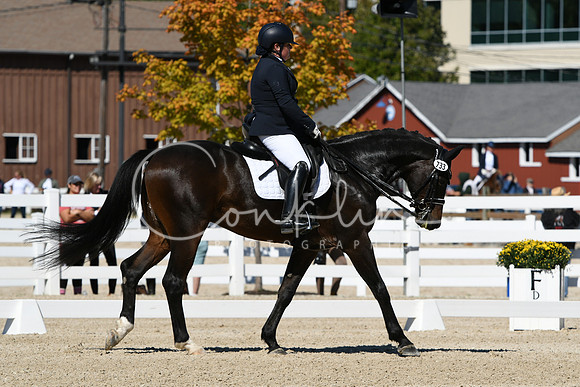 HSM_3206
