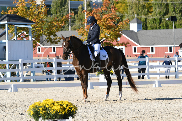 HSM_4492