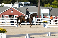 HSM_4498