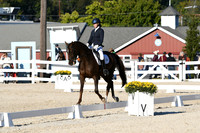 HSM_4501