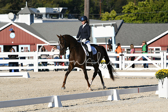 HSM_4502