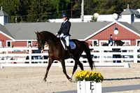HSM_4504
