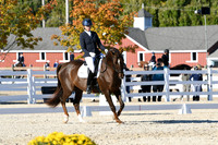 HSM_4509