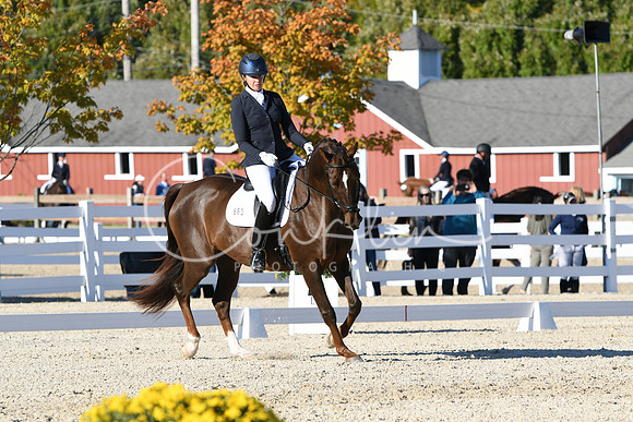 HSM_4509