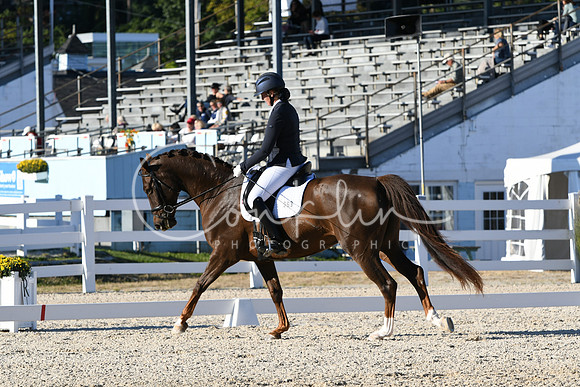 HSM_4539