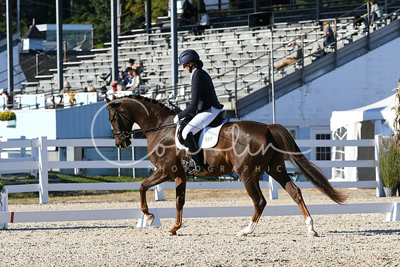 HSM_4538