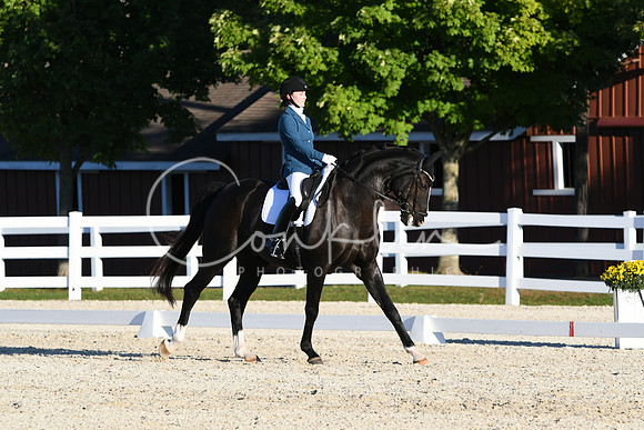 HSM_4794