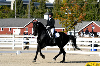 HSM_4011