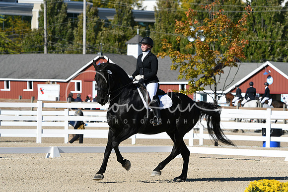 HSM_4011