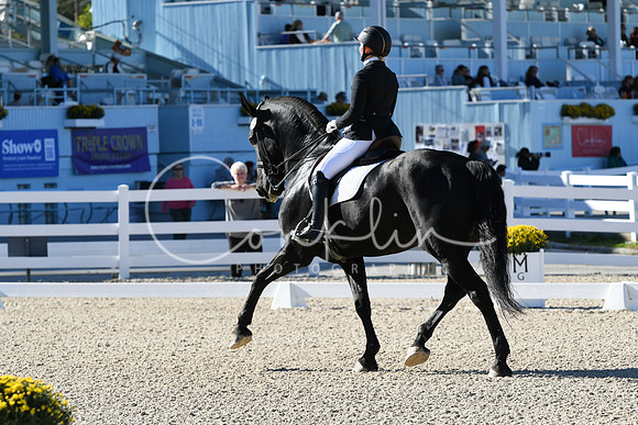 HSM_4029
