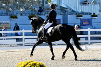 HSM_4031