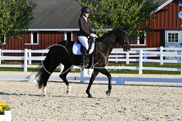 HSM_4832