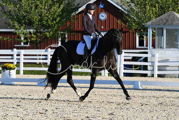 HSM_4849