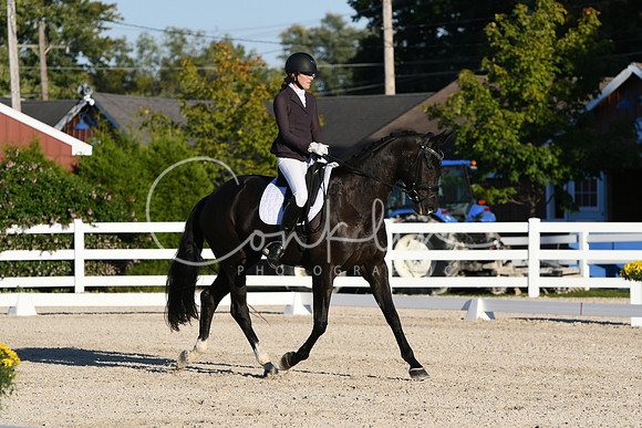 HSM_4856