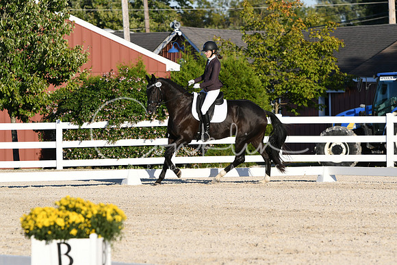 HSM_4867