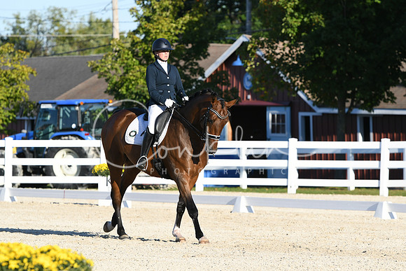 HSM_4603