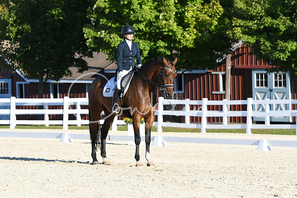 HSM_4607