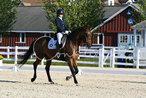 HSM_4609