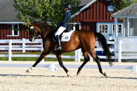 HSM_4611