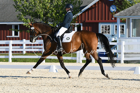HSM_4611