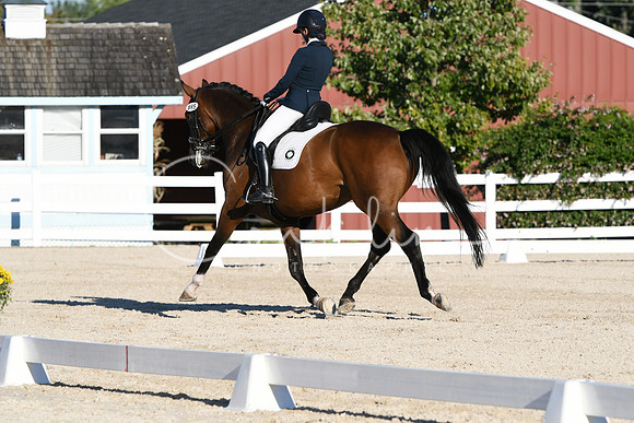 HSM_4613