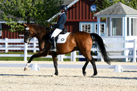 HSM_4610