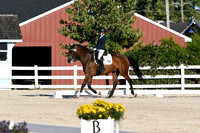 HSM_4617