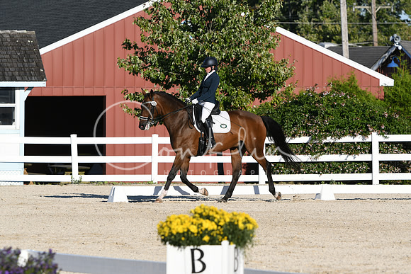 HSM_4617