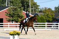HSM_4618