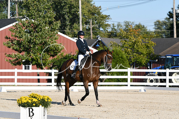 HSM_4619