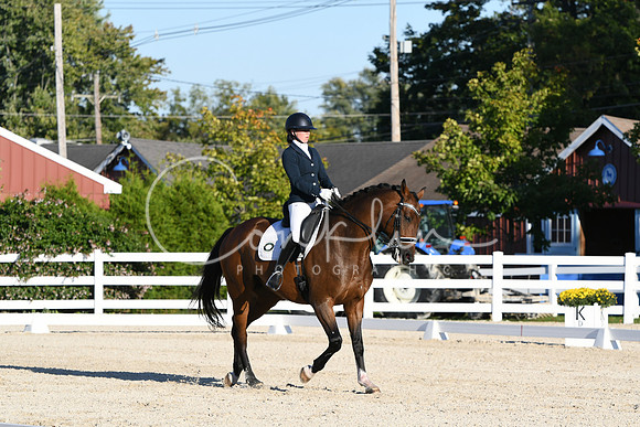 HSM_4621