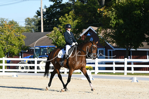 HSM_4622
