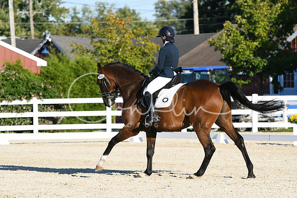 HSM_4648
