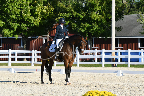 HSM_4653