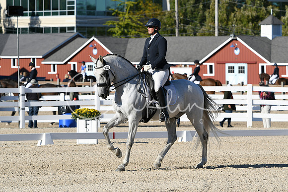 HSM_4278