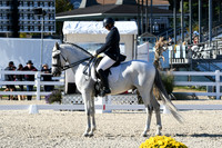 HSM_4282