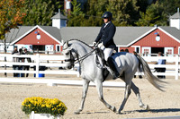 HSM_4290