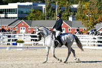 HSM_4293