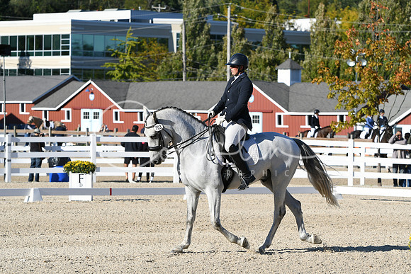 HSM_4293