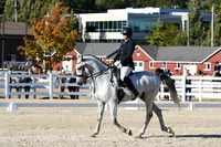 HSM_4295