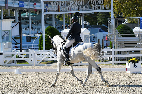 HSM_4307