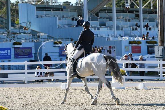 HSM_4313