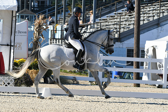 HSM_4335