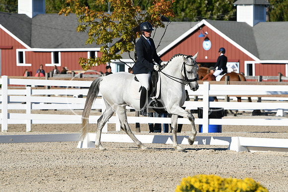 HSM_4337