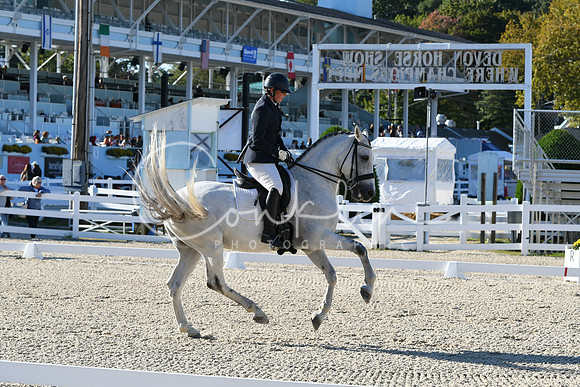 HSM_4341