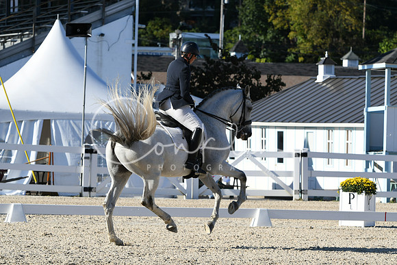 HSM_4345