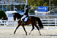 HSM_4428