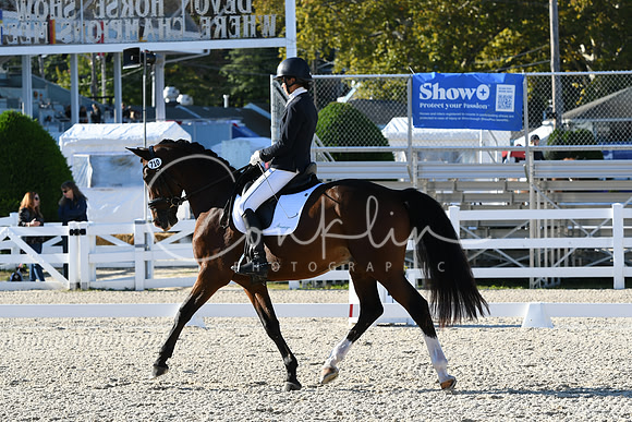 HSM_4428