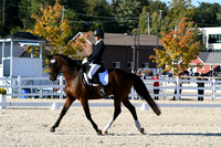 HSM_4440